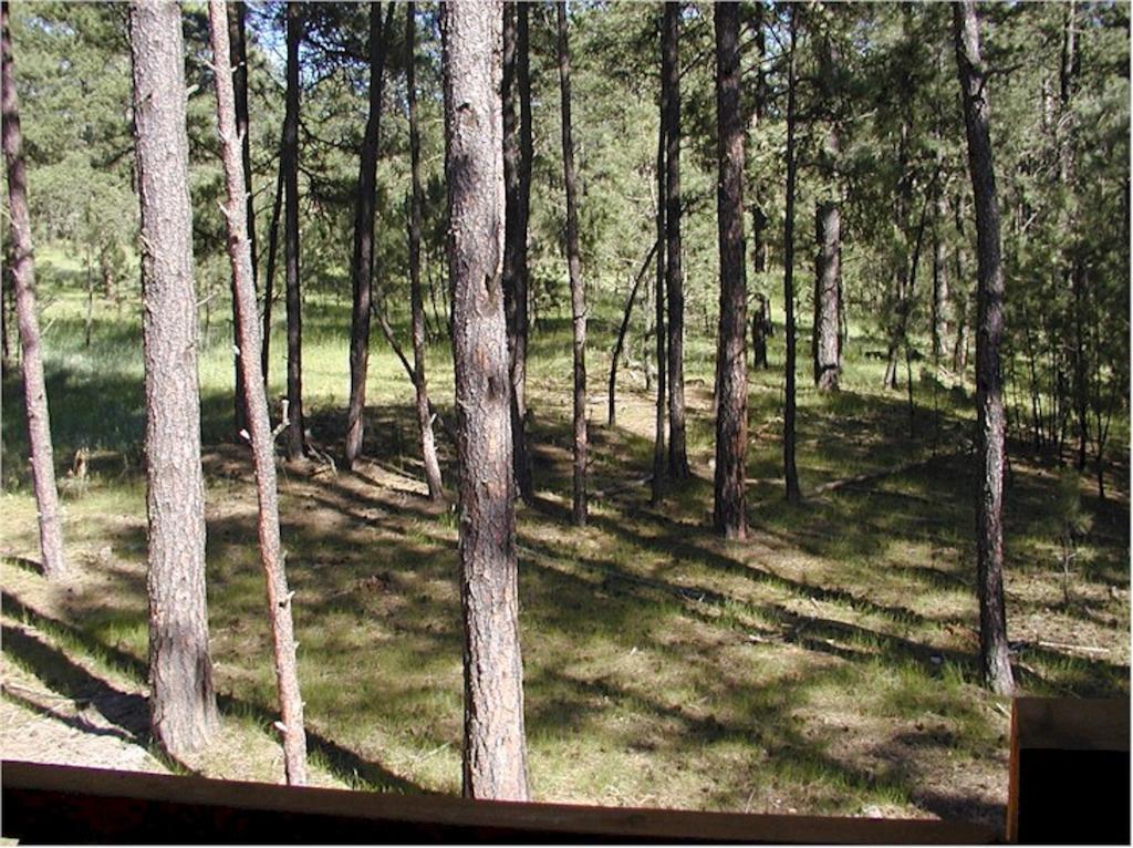Comanche Lodge Custer Room photo